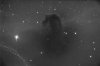 LuminanceIC434_252E.01731.jpg