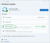 windows_update_advanced.png