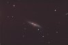 M82 Canon 6Dstock 667secISO4000 OrionSkyGlow 4800mmFL 4-Cr2s Deinterlaced SigmaClipGroup1.jpg