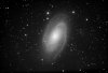 M81-L.jpg